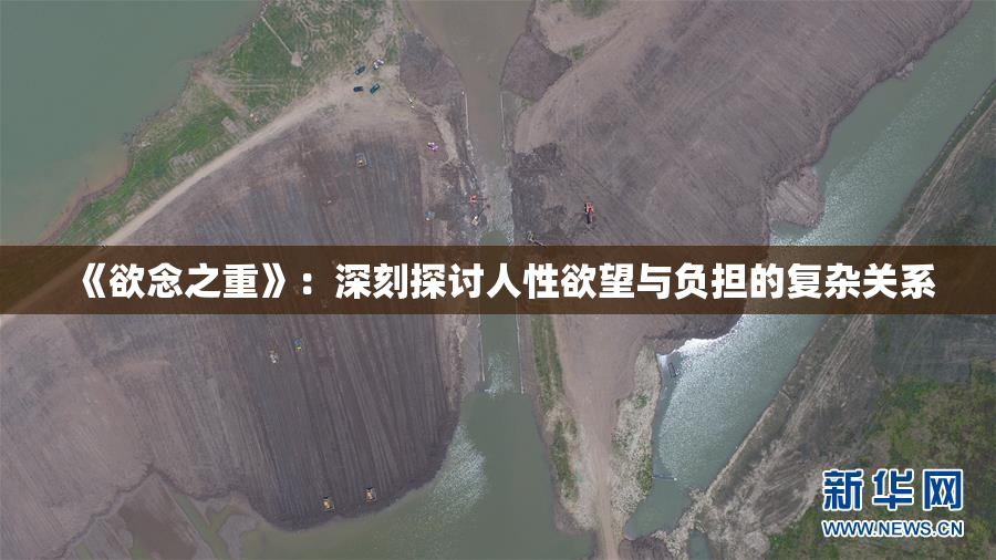 《欲念之重》：深刻探讨人性欲望与负担的复杂关系