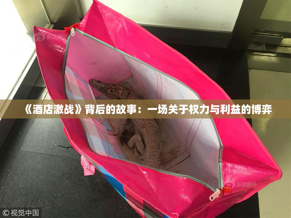 《酒店激战》背后的故事：一场关于权力与利益的博弈