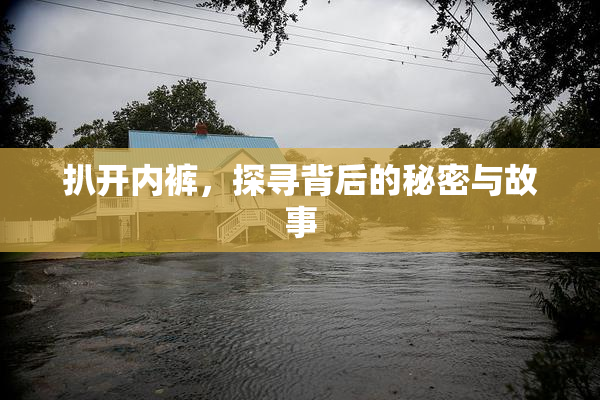 扒开内裤，探寻背后的秘密与故事