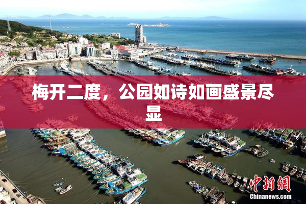 梅开二度，公园如诗如画盛景尽显