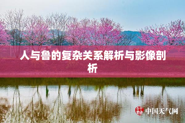 人与鲁的复杂关系解析与影像剖析