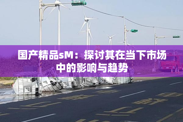 国产精品sM：探讨其在当下市场中的影响与趋势