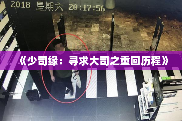 《少司缘：寻求大司之重回历程》