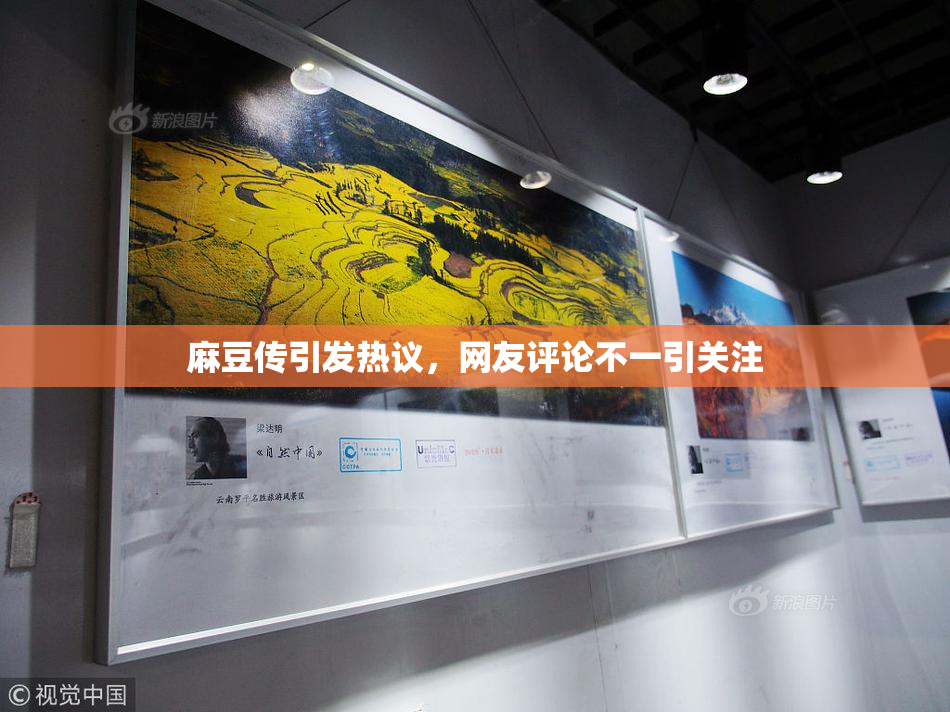 麻豆传引发热议，网友评论不一引关注