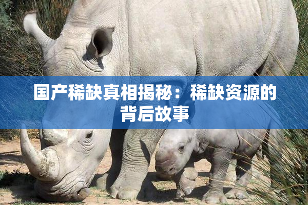 国产稀缺真相揭秘：稀缺资源的背后故事