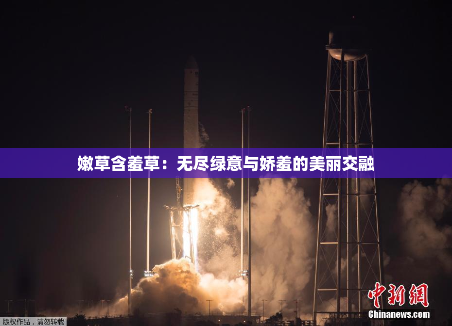 嫩草含羞草：无尽绿意与娇羞的美丽交融