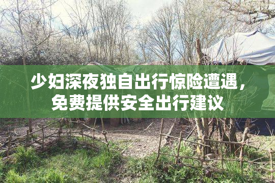 少妇深夜独自出行惊险遭遇，免费提供安全出行建议