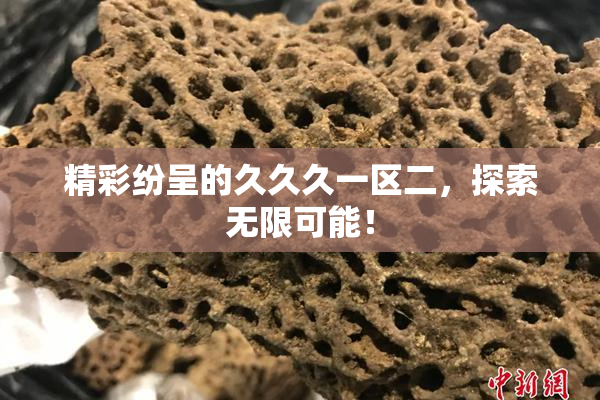 精彩纷呈的久久久一区二，探索无限可能！