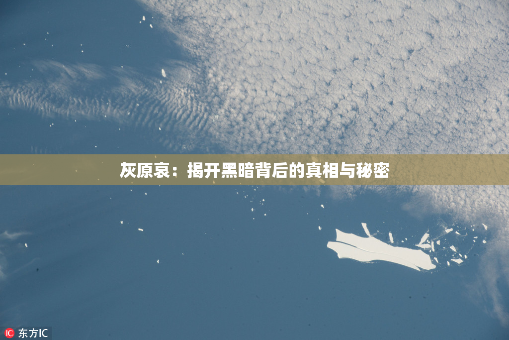 灰原哀：揭开黑暗背后的真相与秘密