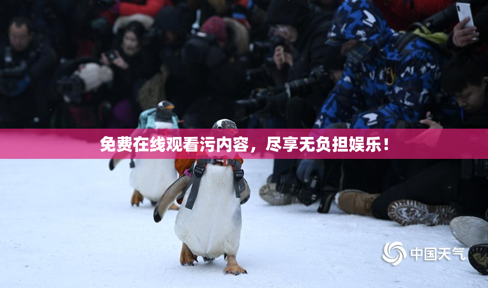 免费在线观看污内容，尽享无负担娱乐！
