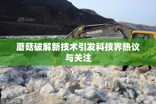 蘑菇破解新技术引发科技界热议与关注