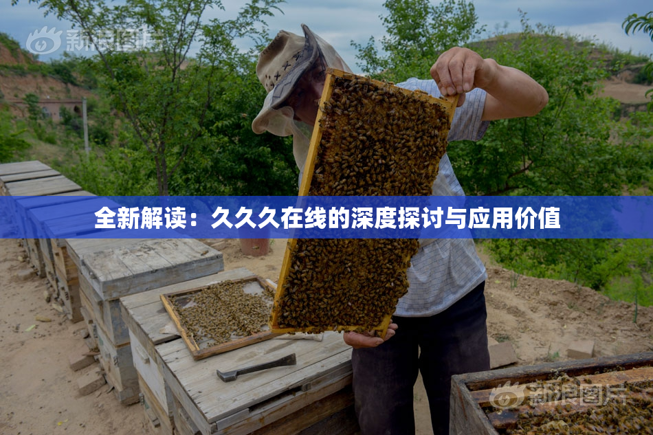 全新解读：久久久在线的深度探讨与应用价值