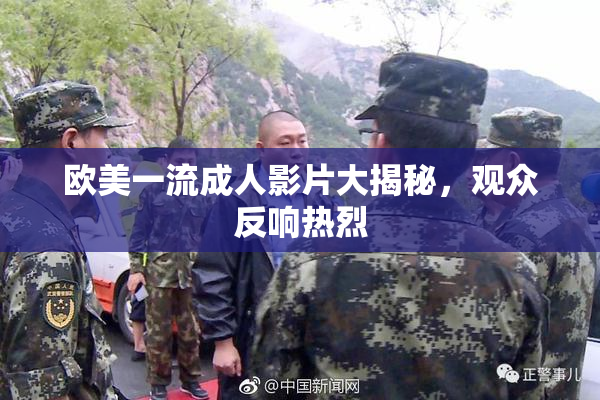 欧美一流成人影片大揭秘，观众反响热烈
