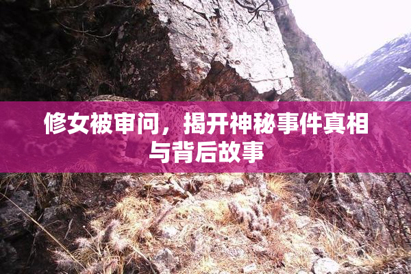 修女被审问，揭开神秘事件真相与背后故事