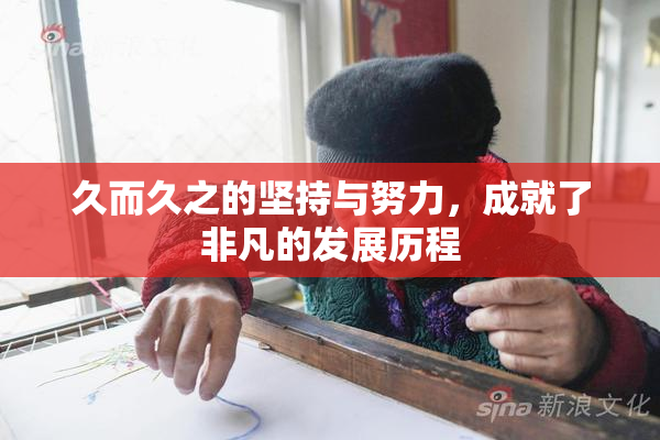 久而久之的坚持与努力，成就了非凡的发展历程