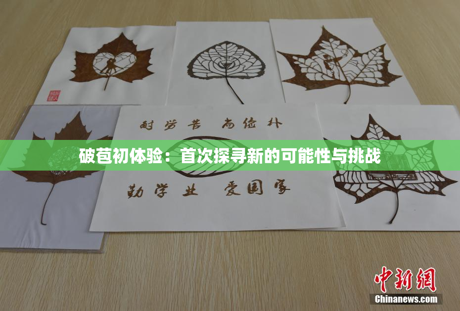 破苞初体验：首次探寻新的可能性与挑战