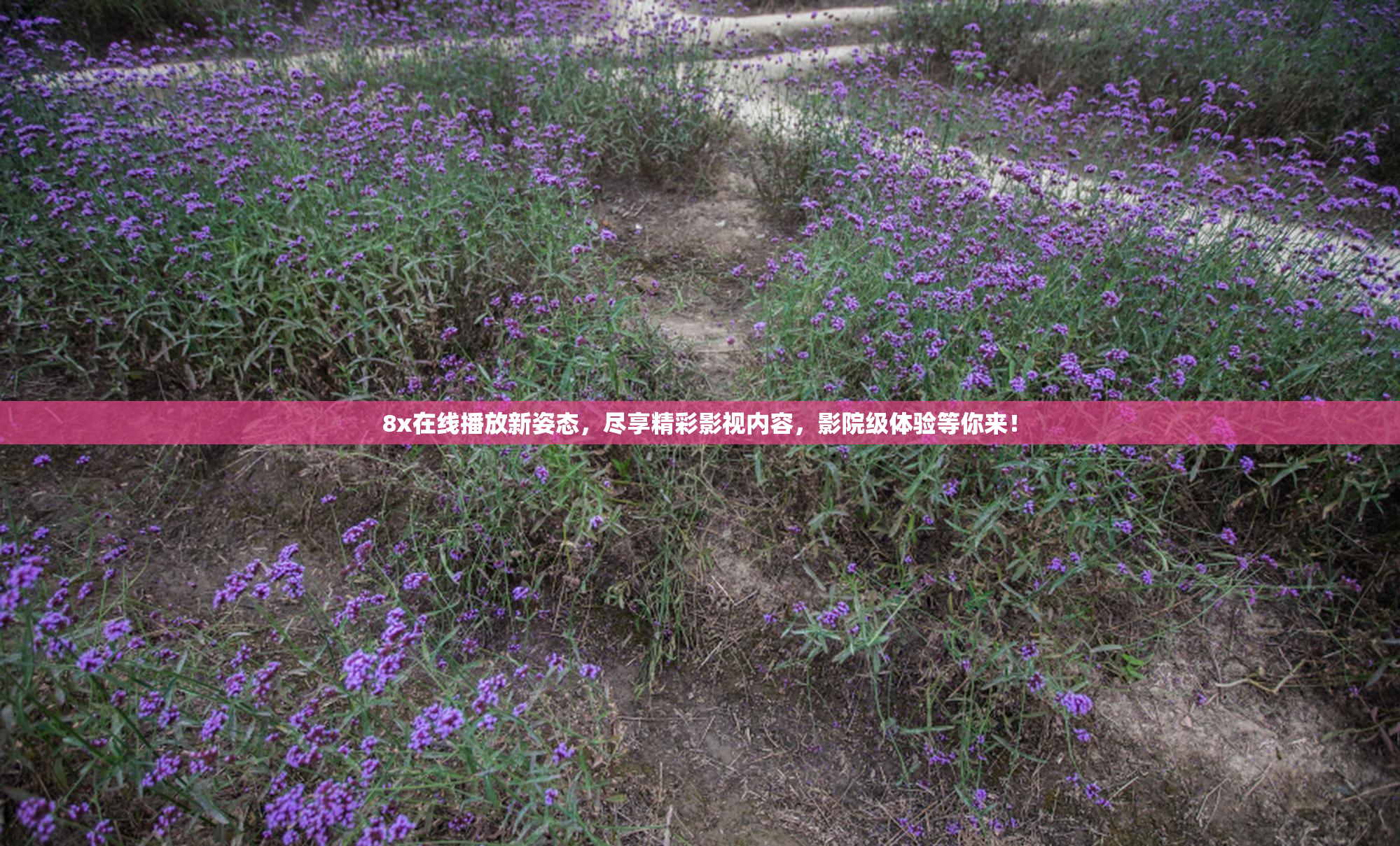 8x在线播放新姿态，尽享精彩影视内容，影院级体验等你来！