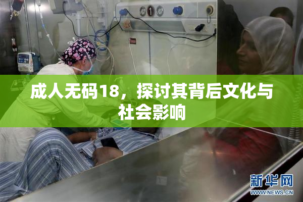成人无码18，探讨其背后文化与社会影响