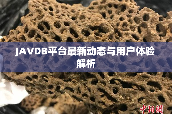 JAVDB平台最新动态与用户体验解析