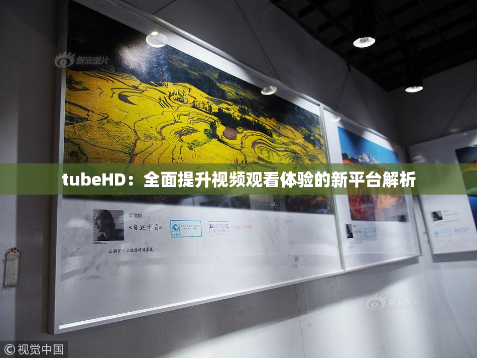 tubeHD：全面提升视频观看体验的新平台解析