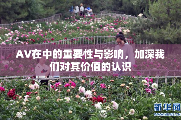 AV在中的重要性与影响，加深我们对其价值的认识