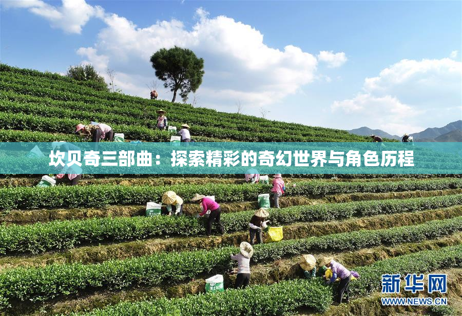 坎贝奇三部曲：探索精彩的奇幻世界与角色历程