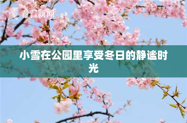 小雪在公园里享受冬日的静谧时光
