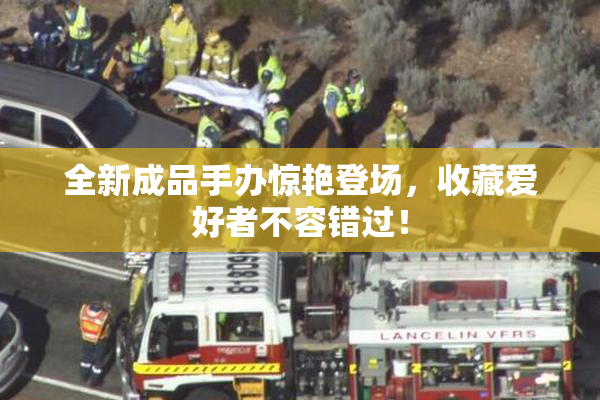 全新成品手办惊艳登场，收藏爱好者不容错过！