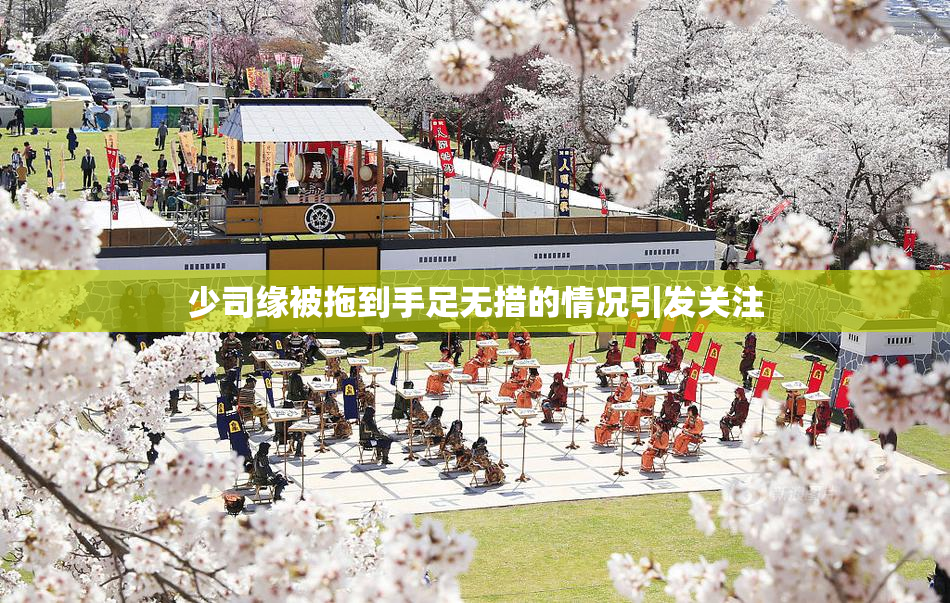少司缘被拖到手足无措的情况引发关注