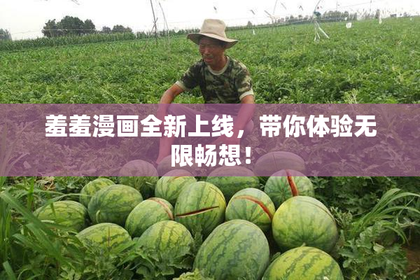 羞羞漫画全新上线，带你体验无限畅想！
