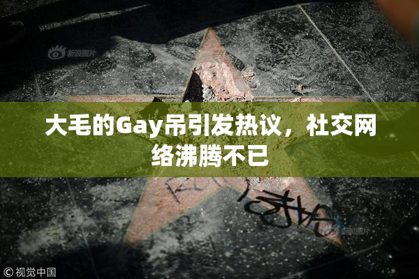 大毛的Gay吊引发热议，社交网络沸腾不已