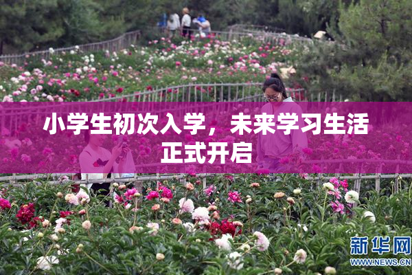 小学生初次入学，未来学习生活正式开启