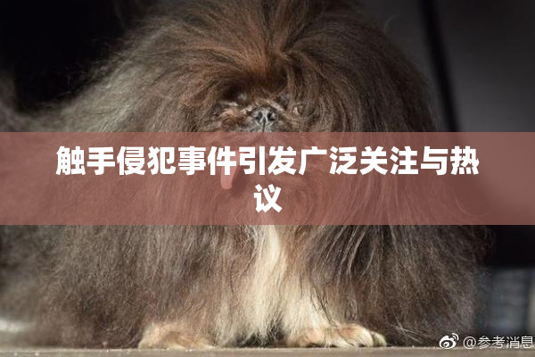 触手侵犯事件引发广泛关注与热议