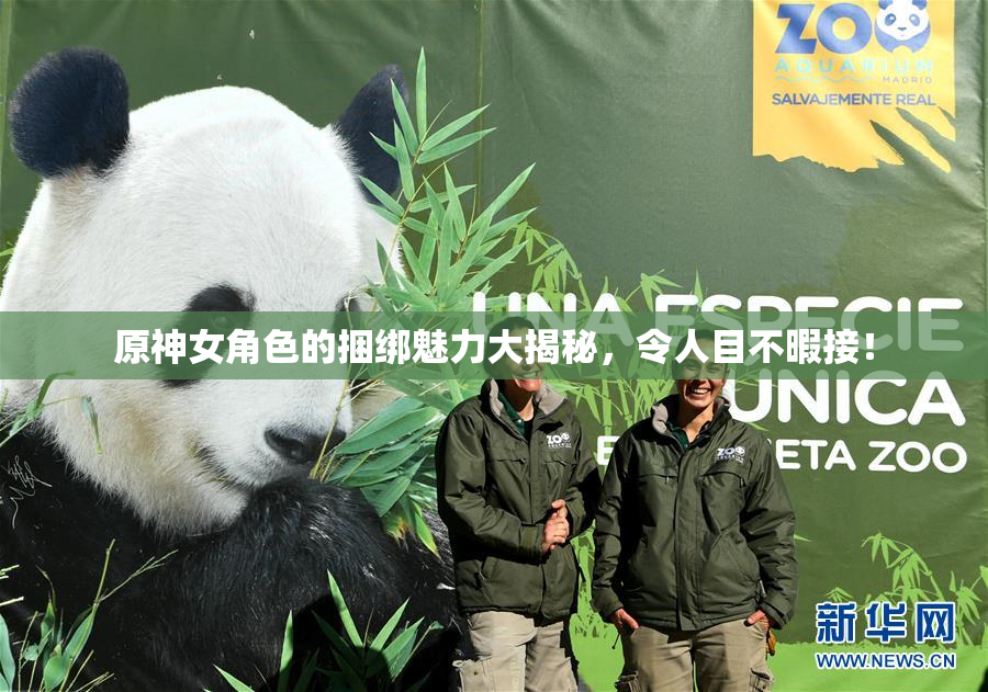 原神女角色的捆绑魅力大揭秘，令人目不暇接！