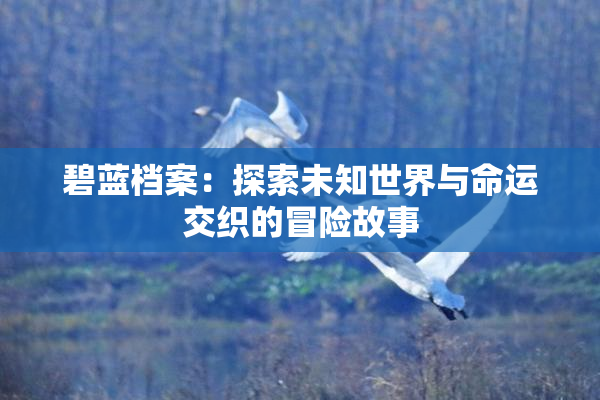 碧蓝档案：探索未知世界与命运交织的冒险故事