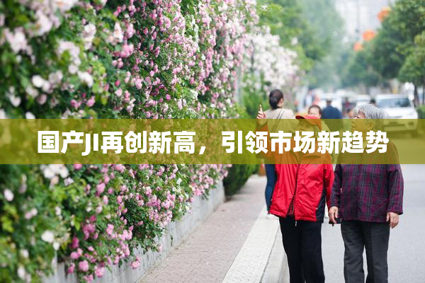 国产JI再创新高，引领市场新趋势