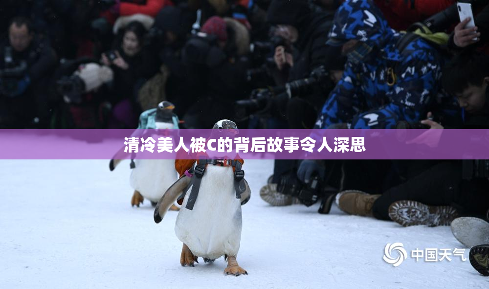 清冷美人被C的背后故事令人深思