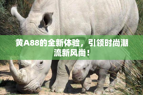 黄A88的全新体验，引领时尚潮流新风尚！