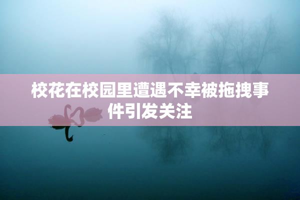 校花在校园里遭遇不幸被拖拽事件引发关注