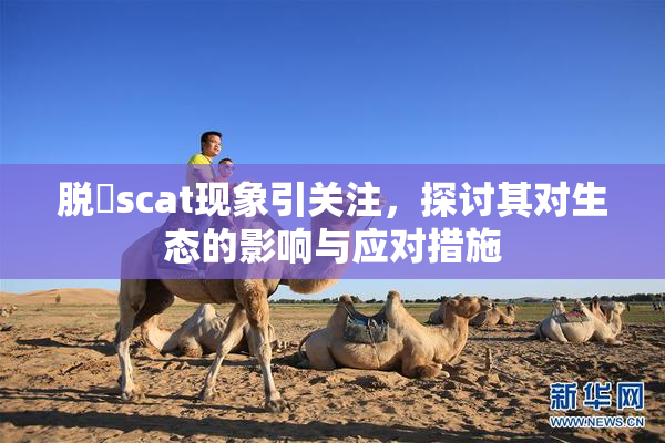 脱糞scat现象引关注，探讨其对生态的影响与应对措施