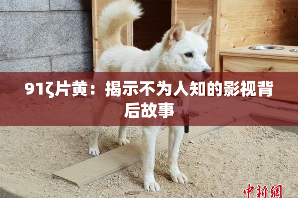 91ζ片黄：揭示不为人知的影视背后故事