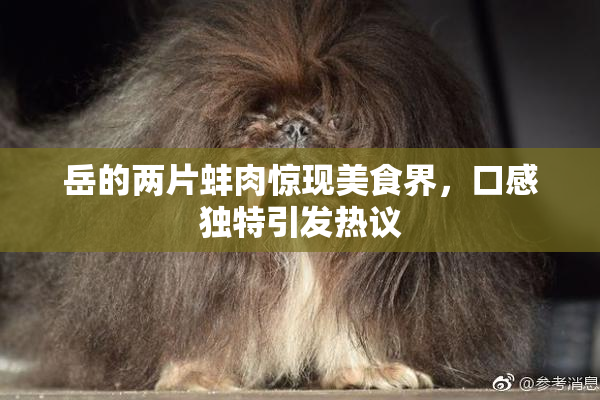 岳的两片蚌肉惊现美食界，口感独特引发热议