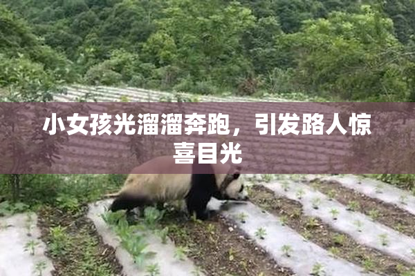 小女孩光溜溜奔跑，引发路人惊喜目光