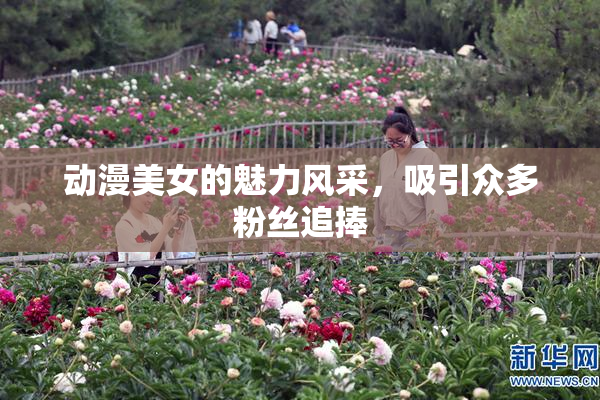动漫美女的魅力风采，吸引众多粉丝追捧