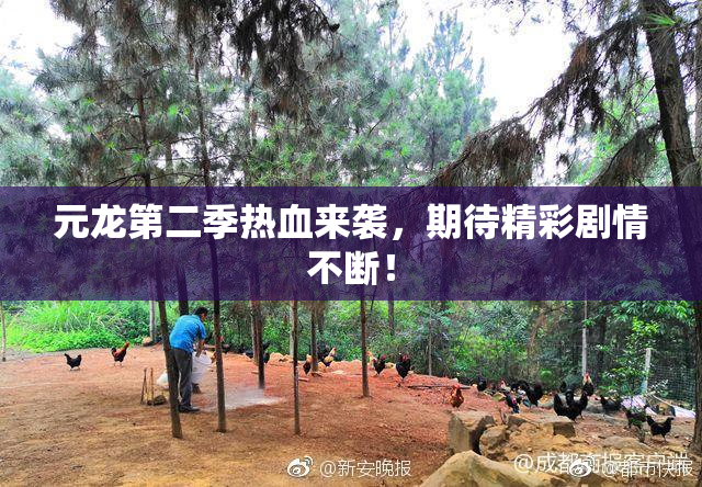 元龙第二季热血来袭，期待精彩剧情不断！