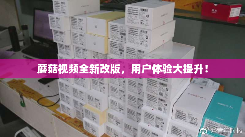 蘑菇视频全新改版，用户体验大提升！