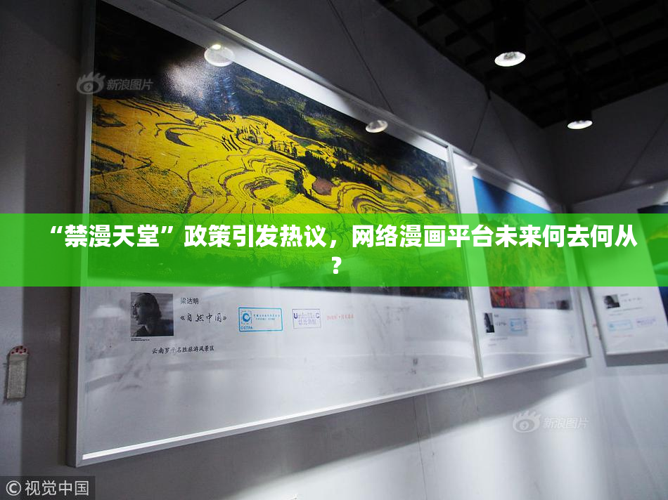 “禁漫天堂”政策引发热议，网络漫画平台未来何去何从？