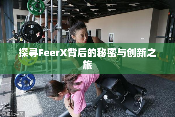 探寻FeerX背后的秘密与创新之旅