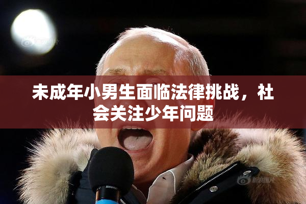 未成年小男生面临法律挑战，社会关注少年问题