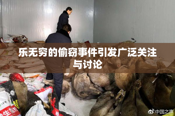 乐无穷的偷窃事件引发广泛关注与讨论